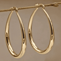 Elegant Gold Hoop Earrings